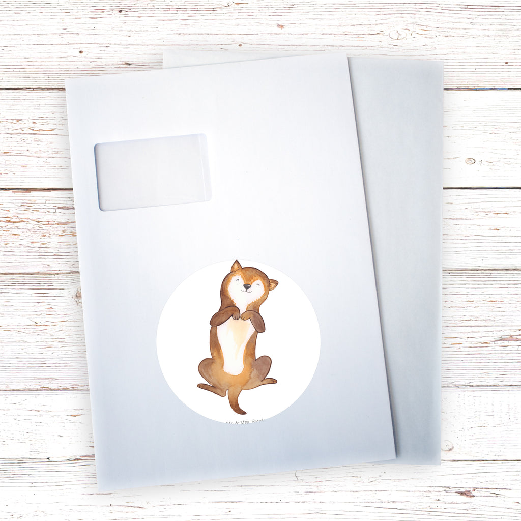 Rund Aufkleber Hund Bauchkraulen Sticker, Aufkleber, Etikett, Kinder, rund, Hund, Hundemotiv, Haustier, Hunderasse, Tierliebhaber, Hundebesitzer, Sprüche, Hunde, Hundeliebe, Hundewelpe, Bauchkraulen