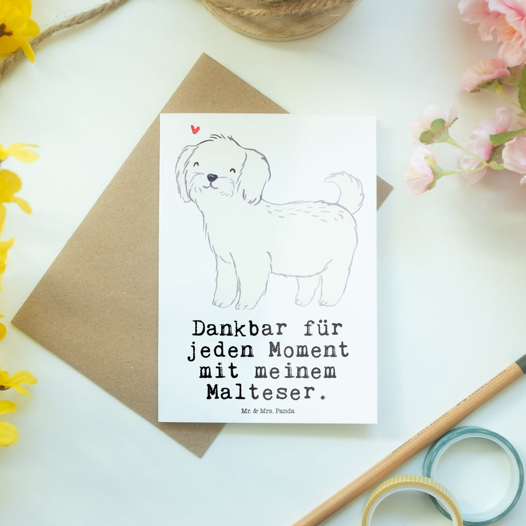 Grußkarte Malteser Moment Grußkarte, Klappkarte, Einladungskarte, Glückwunschkarte, Hochzeitskarte, Geburtstagskarte, Karte, Ansichtskarten, Hund, Hunderasse, Rassehund, Hundebesitzer, Geschenk, Tierfreund, Schenken, Welpe, Malteser