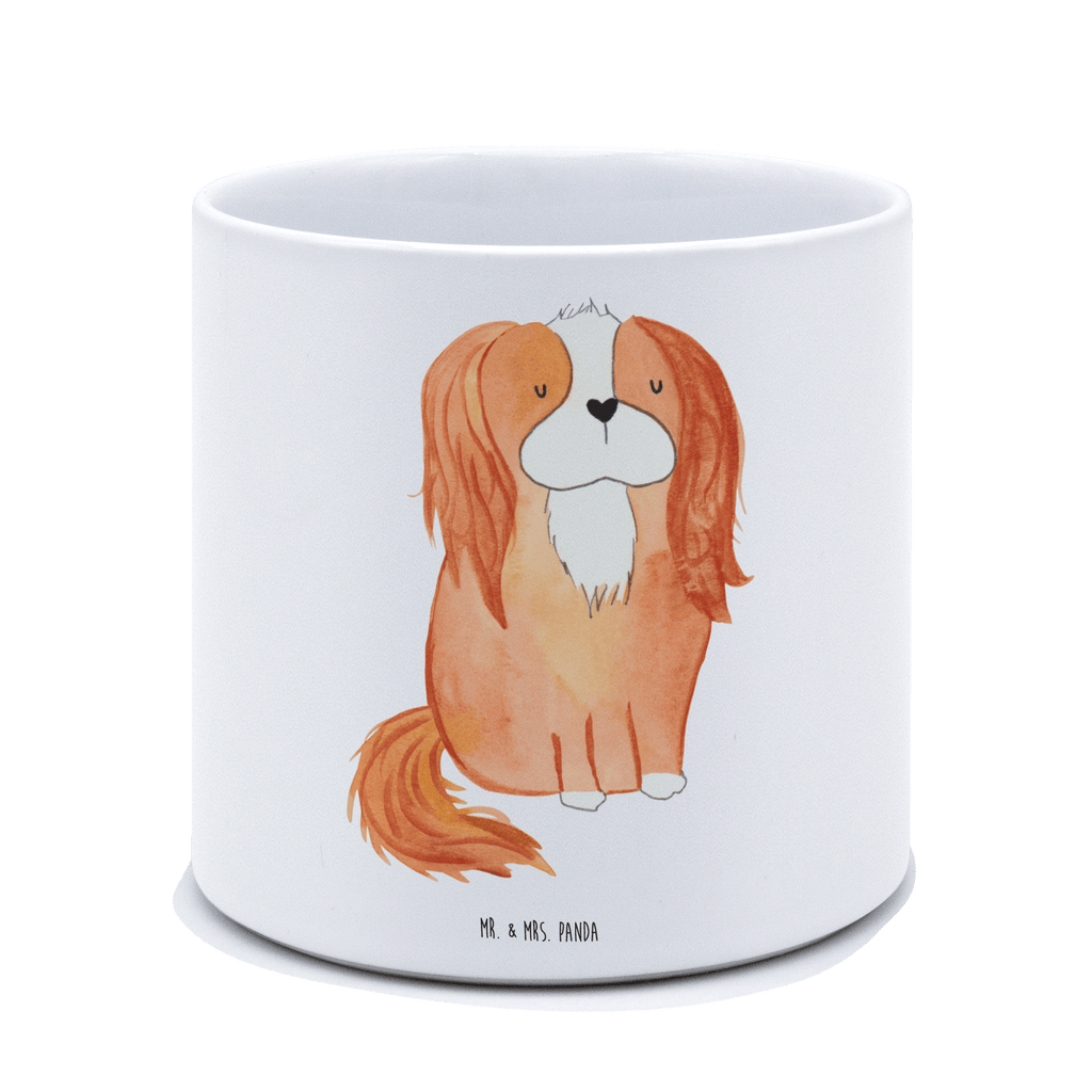 XL Blumentopf Hund Cavalier King Charles Spaniel Bumentopf, Xl Blumentopf, Blumentopf Gross, Übertopf, Pflanztopf, Keramiktopf, Kräutertopf, Topf, Pflanzkübel, Blumenübertopf, Hund, Hundemotiv, Haustier, Hunderasse, Tierliebhaber, Hundebesitzer, Sprüche, Cavalier King Charles Spaniel, Cockerspaniel, Spaniel, Spruch, schönster Hund