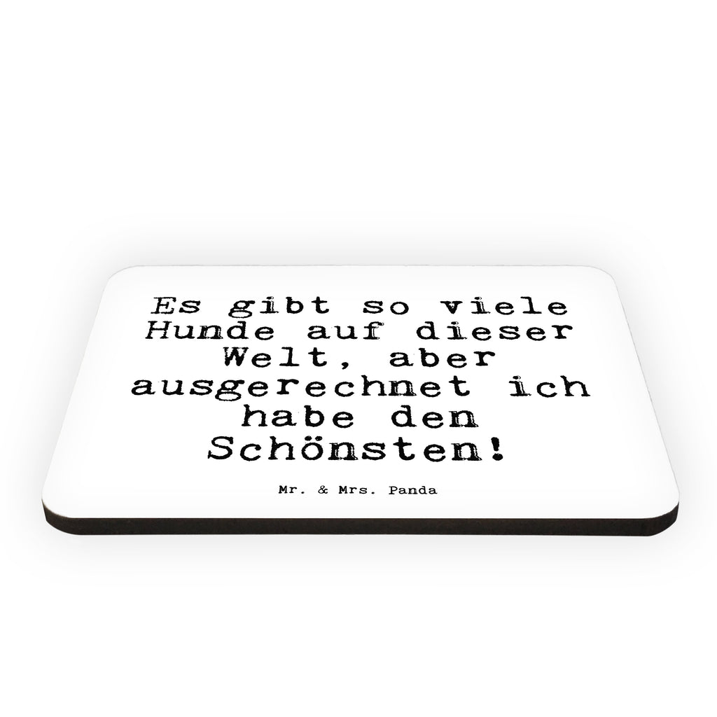 Magnet Sprüche und Zitate Es gibt so viele Hunde auf dieser Welt, aber ausgerechnet ich habe den Schönsten! Kühlschrankmagnet, Pinnwandmagnet, Souvenir Magnet, Motivmagnete, Dekomagnet, Whiteboard Magnet, Notiz Magnet, Kühlschrank Dekoration, Spruch, Sprüche, lustige Sprüche, Weisheiten, Zitate, Spruch Geschenke, Spruch Sprüche Weisheiten Zitate Lustig Weisheit Worte