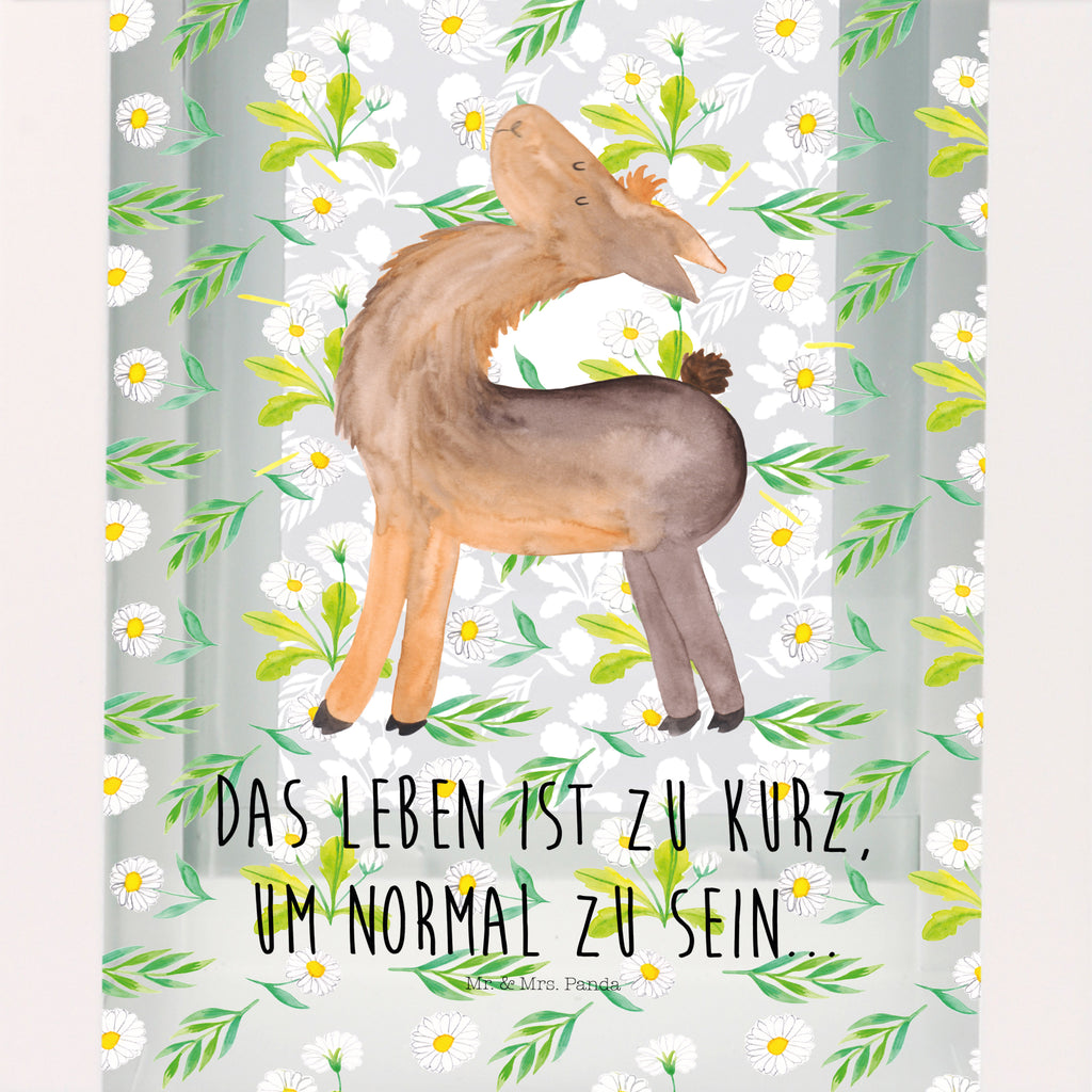 Deko Laterne Lama Stolz Gartenlampe, Gartenleuchte, Gartendekoration, Gartenlicht, Laterne kleine Laternen, XXL Laternen, Laterne groß, Lama, Alpaka, Lamas, Außenseiter, Anders, Neustart, stolz, Hippie, Freundin, Freundinnen, beste Freundin, Kumpel, Familie, Family